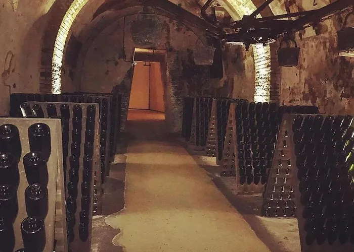 Aux Clefs Des Sacres - Dans Un Particulier Situe Rue Du Marc - - Hyper Centre Forum Mairie Boulingrin