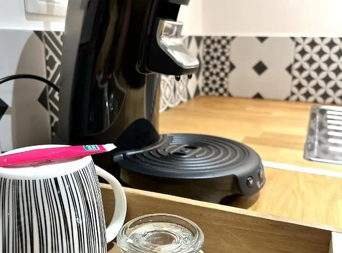 Lägenhet Aux Clefs Des Sacres - Dans Un Particulier Situe Rue Du Marc - - Hyper Centre Forum Mairie Boulingrin Reims